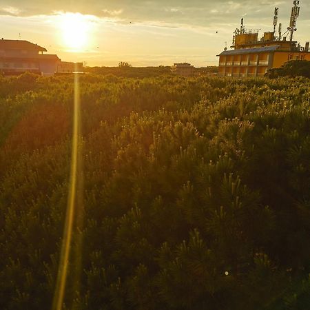 Hotel Pine Beach Розоліна-Маре Екстер'єр фото