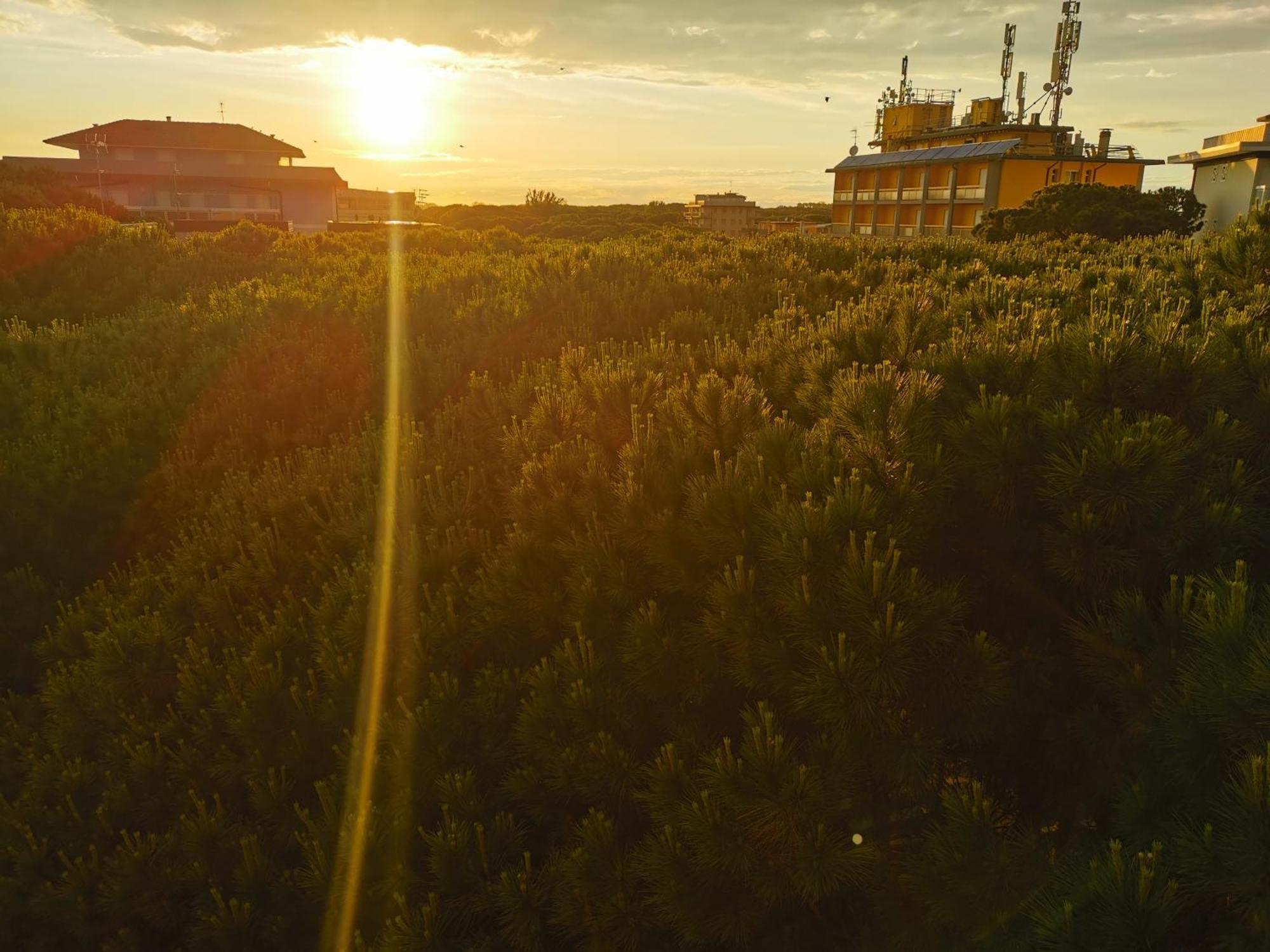 Hotel Pine Beach Розоліна-Маре Екстер'єр фото