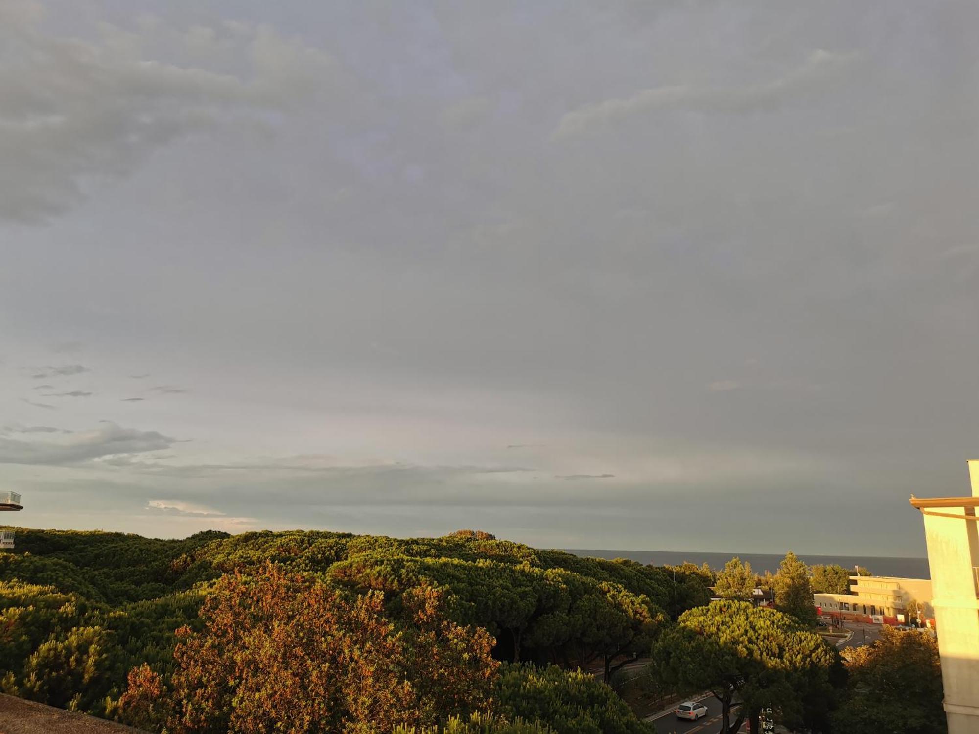 Hotel Pine Beach Розоліна-Маре Екстер'єр фото
