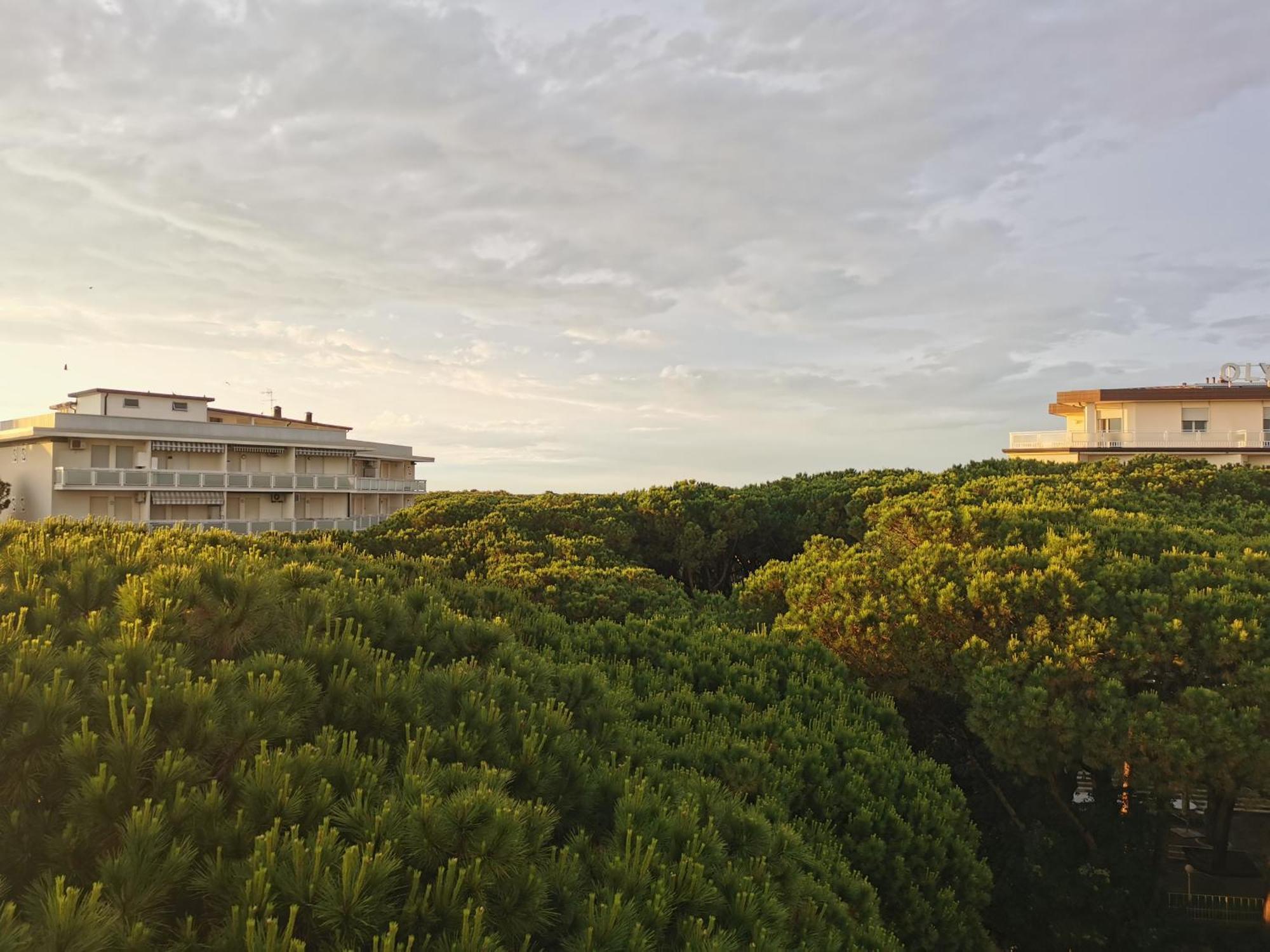 Hotel Pine Beach Розоліна-Маре Екстер'єр фото